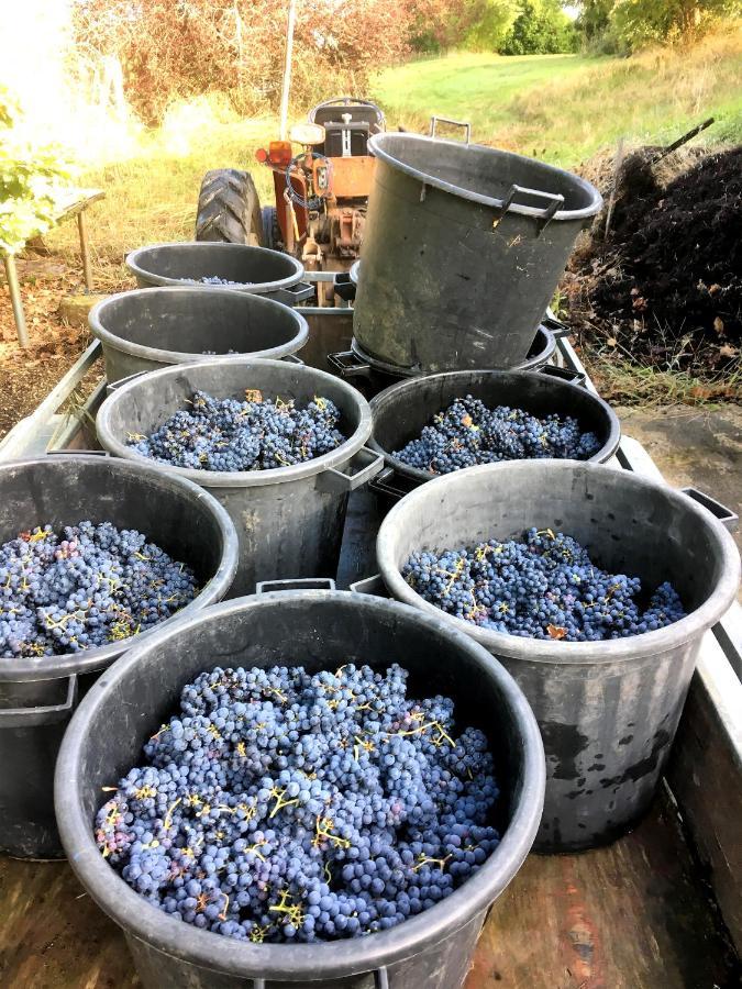 Le Clos D'Almide 莫内斯捷 外观 照片