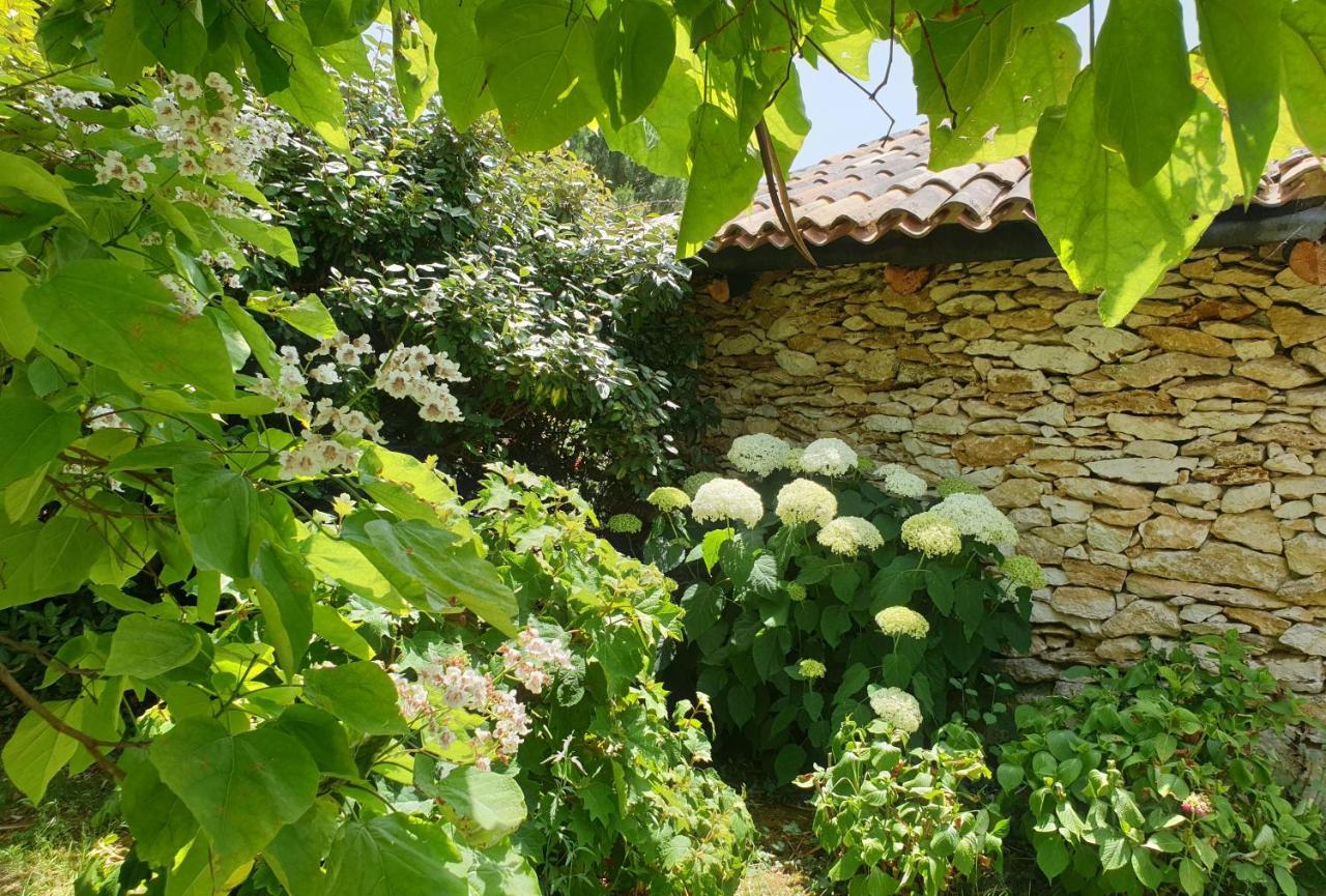 Le Clos D'Almide 莫内斯捷 外观 照片